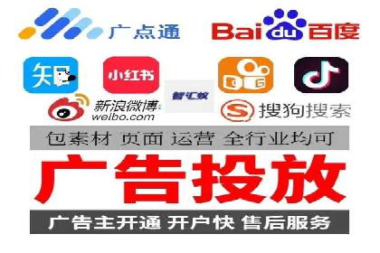 专业SEM服务公司案例分析报告